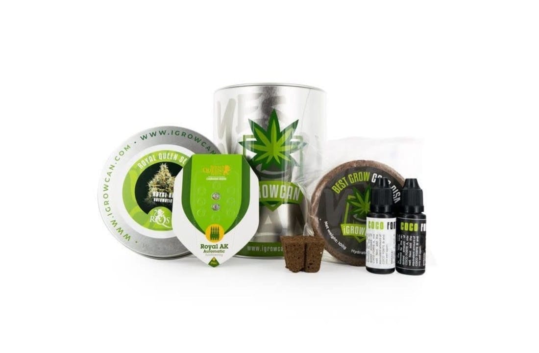 iGrowCan: The Ultimate Beginner's Solution for Home Cannabis Growing